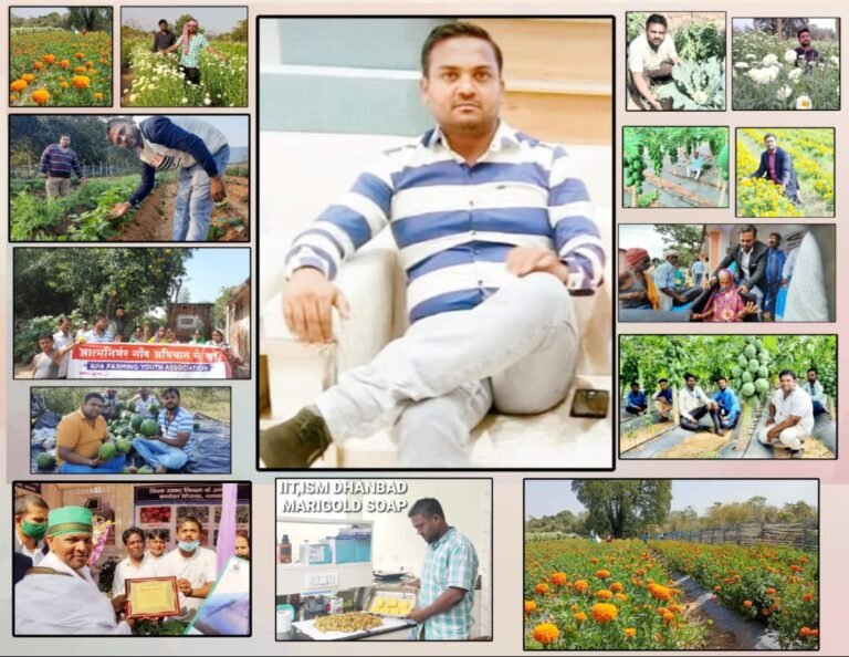 Efforts of the Jai Dharti Maa Foundation to restore greenery in Jharkhand