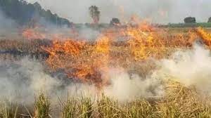 "Punjab Stubble Burning Surges Despite Supreme Court Orders, Clouds of Pollution Loom"