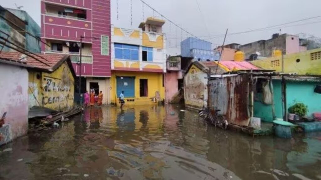 Massive Cleanup Underway for Chennai's Ennore Creek Oil Spill, Hundreds Affected