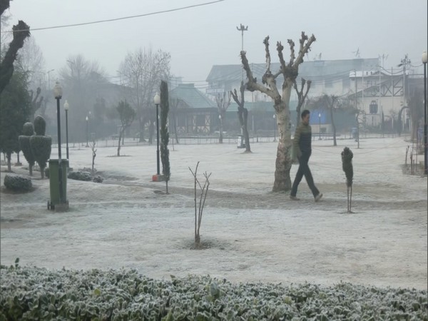 Kashmir Valley Gripped by Bone-Chilling Cold as Mercury Plummets Below Freezing