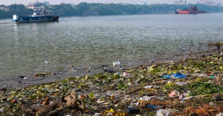 “Bihar Government Report: Ganga River Water Unfit for Bathing Due to Pollution”