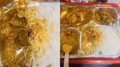 Passenger Finds Cockroach in Meal on Vande Bharat Train; Railways Responds