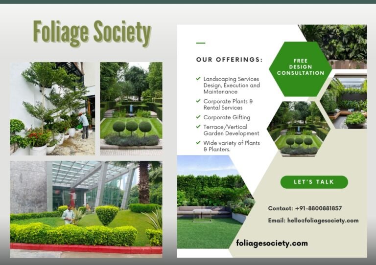 Foliage Society: Elevating Restaurant Ambiance with Exquisite Greenery