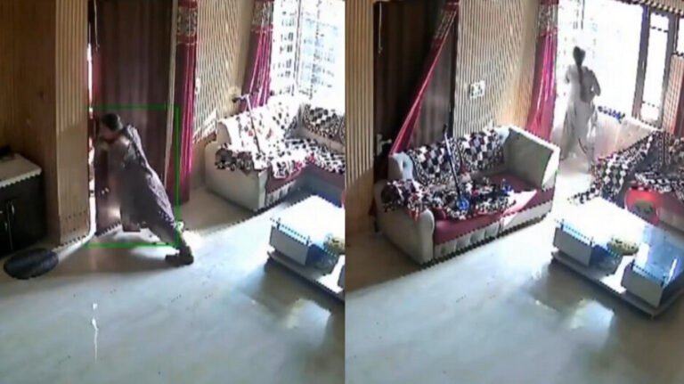 Brave Amritsar Woman Thwarts Robbery Attempt, Video Goes Viral