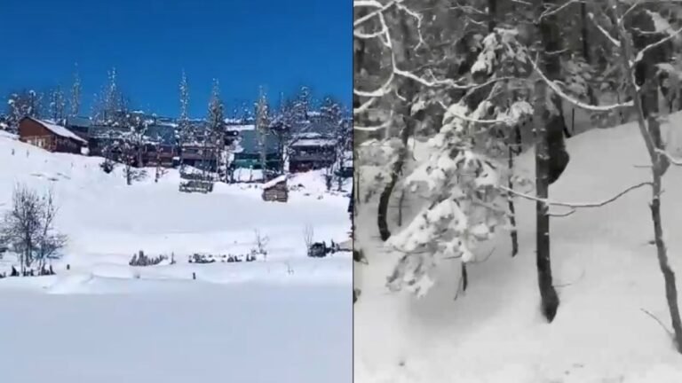 Orange Alert Issued: What Travellers Should Know Before Visiting Kashmir