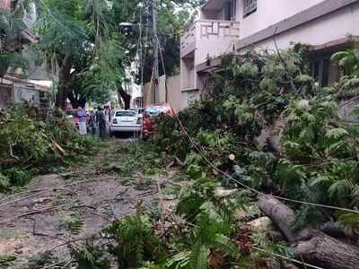 Heavy Rain Triggers Waterlogging and Uprooted Trees in Bengaluru; Yellow Alert Issued for Several Districts