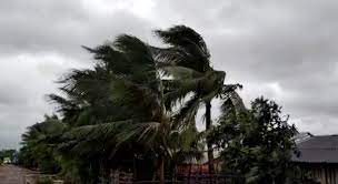 Monsoon Arrives Early in India: Earliest Onset Since 2009, IMD Confirms