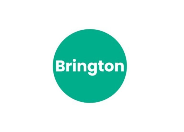 Brington Inc is Disrupting the Market — And Backing It Up with Real Revenue
