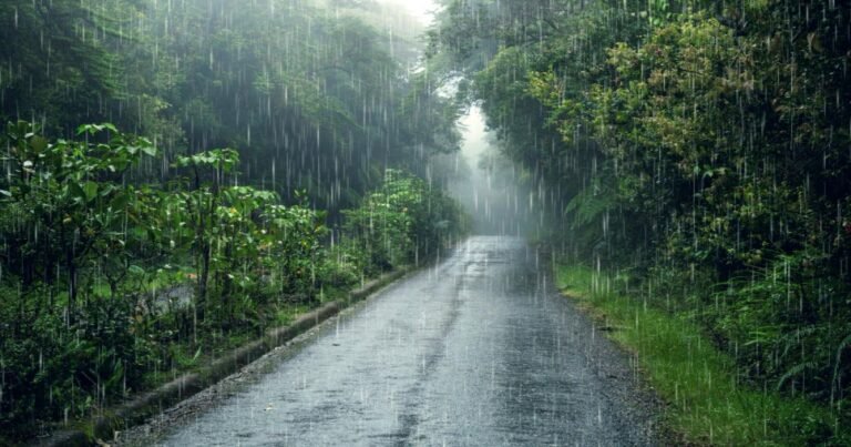 IMD Predicts Intense Rainfall in Central India, Urges Public to Prepare