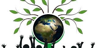 Celebrations and Conservation: India’s Cultural and Environmental Highlights on July 28