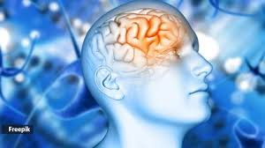 Doctor-Backed Brain Boosting Habits You Can Start Today