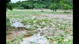 Punjab Appeals for ₹1 Lakh Crore Relief Package as Flood Havoc Deepens