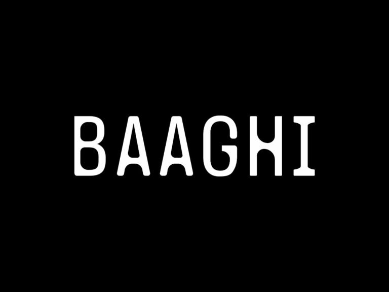 Baaghi Productions: An Emerging Independent Music Label from India
